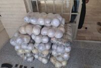 کشف ۷۰۰ کیلوگرم مواد مخدر در عملیات‌های اخیر تکاوران فراجا طی ۴۸ ساعت گذشته