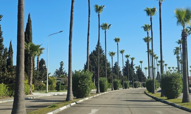 سفر بی‌نظیر: از آغاز تا پایان یک تجربه فراموش‌نشدنی