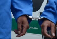 پایان فعالیت سارق معروف جعبه‌فیوز خودروها