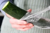 کاهش تماس غذا با پلاستیک، به سرعت مواد شیمیایی مضر را در بدن کاهش می‌دهد